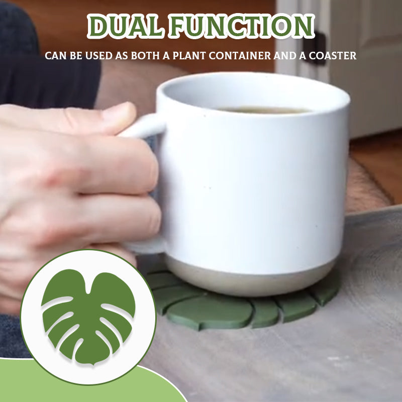 Plant Pots That Double as Coasters