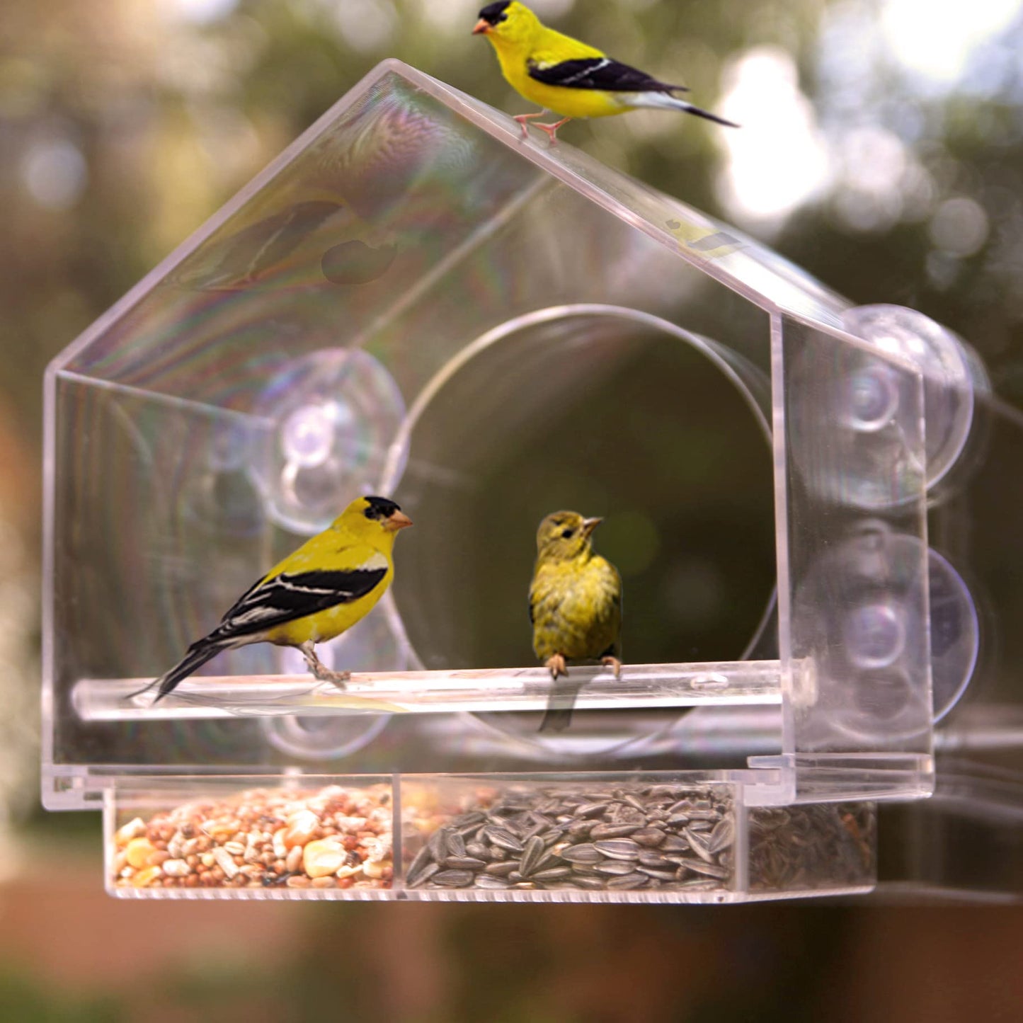 Window Bird Feeder for Outside