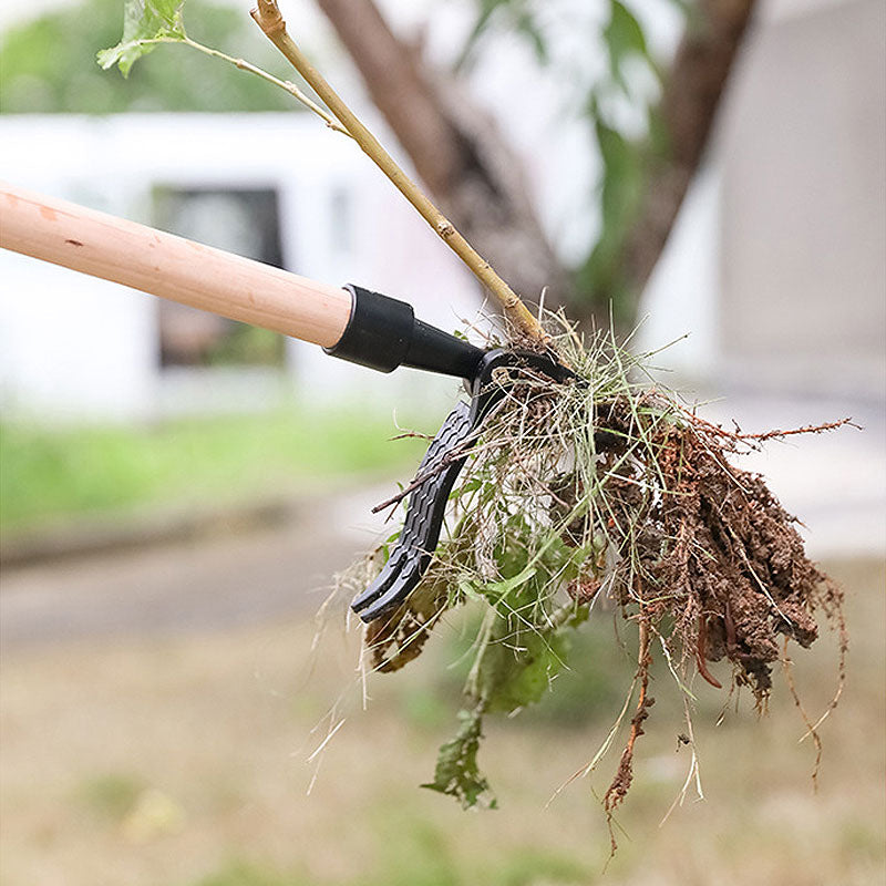 Manual Weeding Rooter