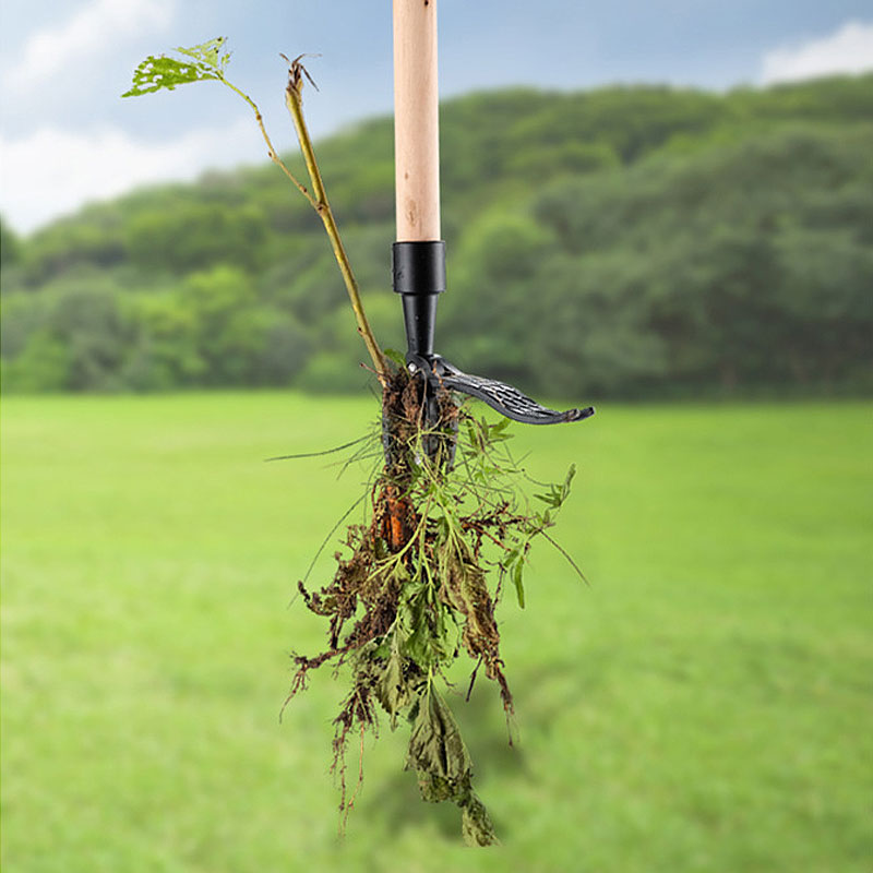 Manual Weeding Rooter